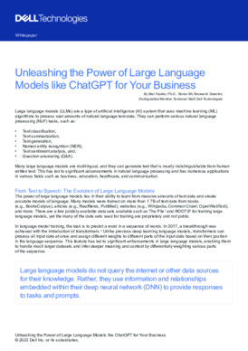 Unleashing Power of Large Language Model like ChatGPT for Business